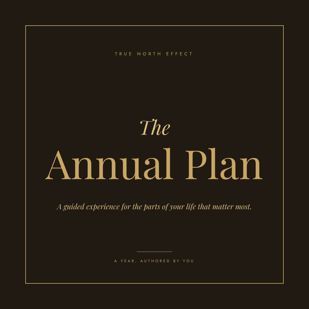 The Annual Plan cover